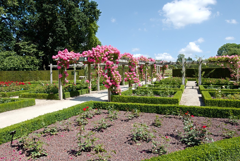 Rozentuin van Coloma